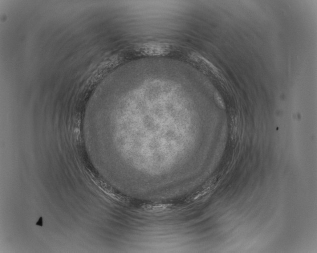 X0000071800553200607211649