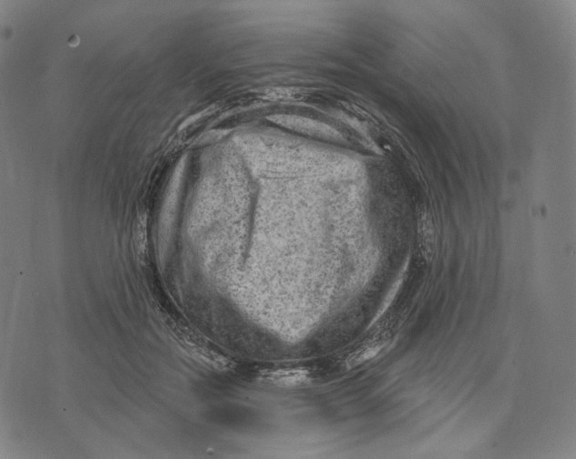 X0000071800554200607211649