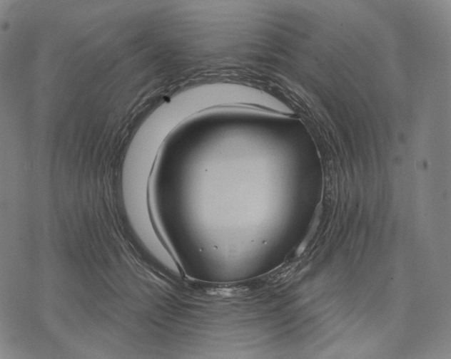 X0000071800558200607211650