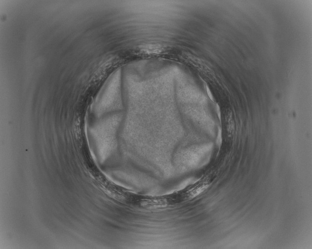 X0000071800559200607211650