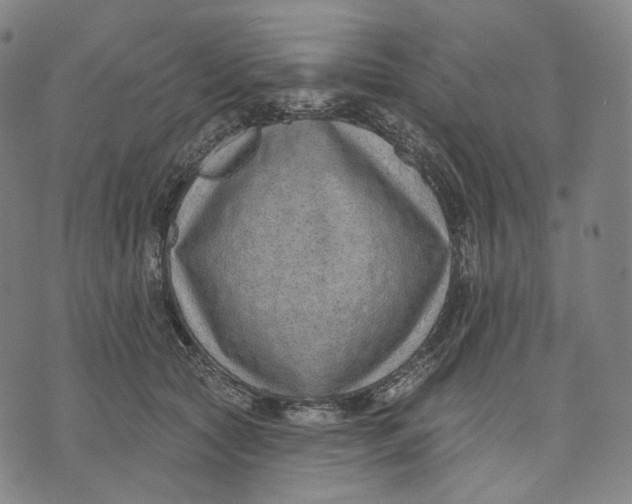 X0000071800561200607211650