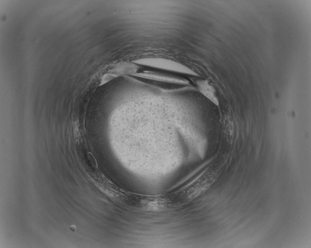 X0000071800564200607211650