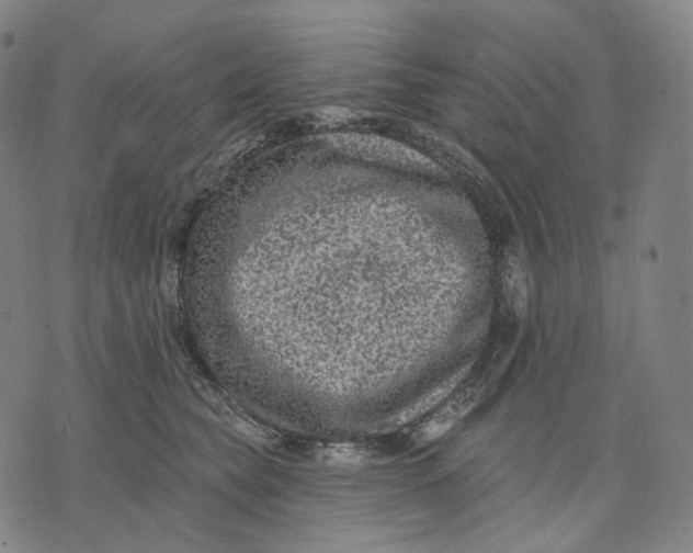 X0000071800565200607211650