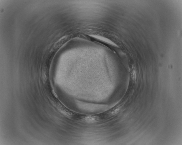 X0000071800566200607211650