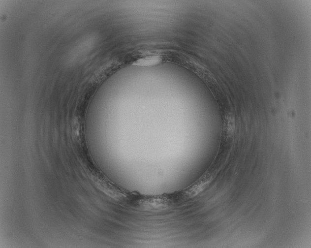 X0000071800567200607211650