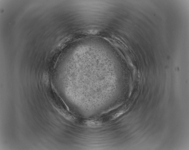 X0000071800568200607211650