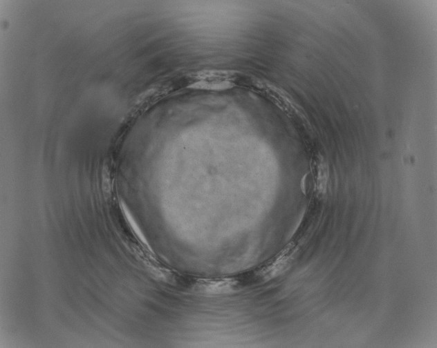 X0000071800569200607211650