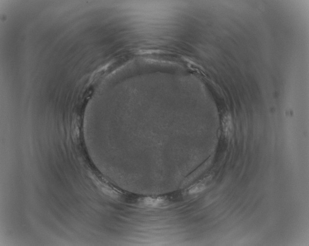 X0000071800570200607211650