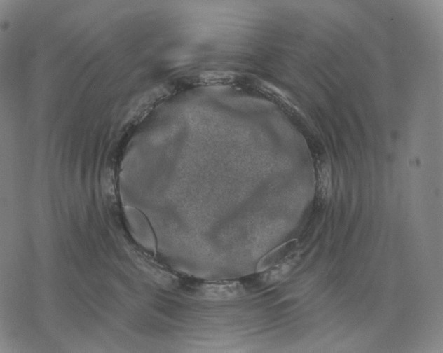 X0000071800571200607211650