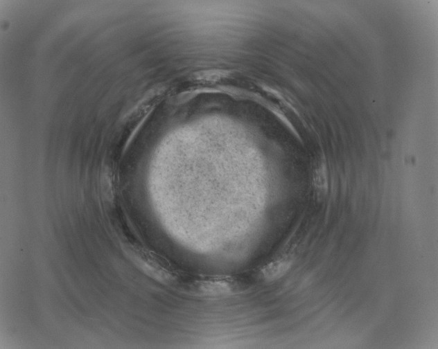 X0000071800572200607211650