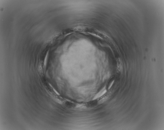 X0000071800573200607211650