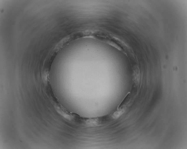 X0000071800574200607211650