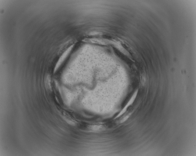 X0000071800575200607211650