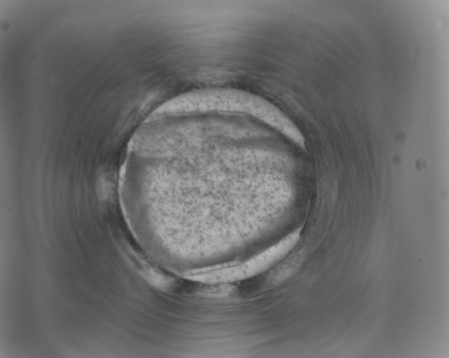 X0000071800576200607211650