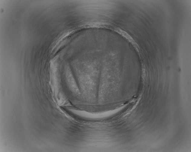 X0000071800577200607211649