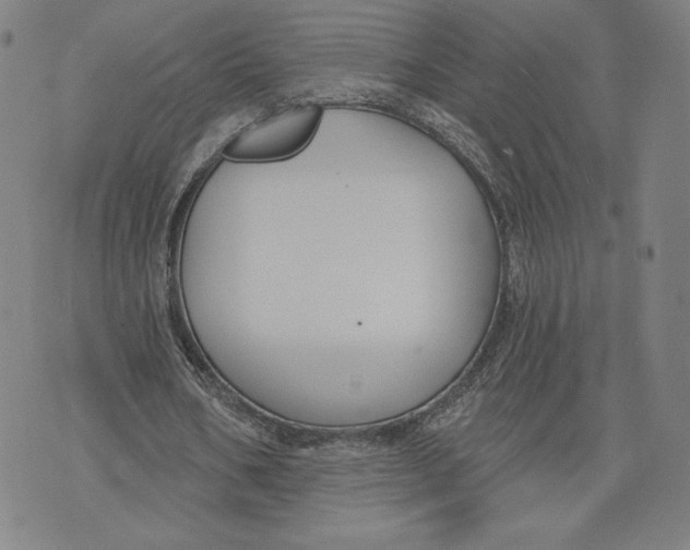 X0000071800578200607211649