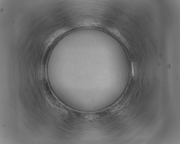 X0000071800579200607211649