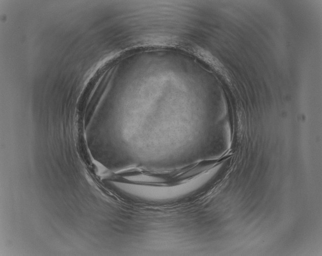 X0000071800580200607211649