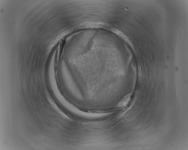 X0000071800581200607211649