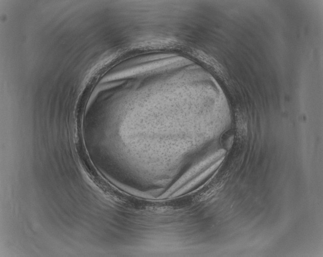 X0000071800582200607211649