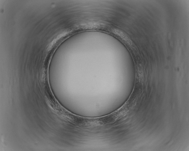 X0000071800583200607211649