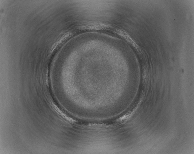 X0000071800585200607211649