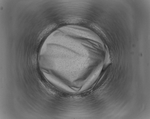 X0000071800586200607211649