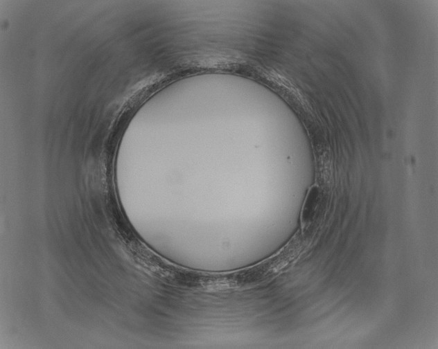 X0000071800587200607211649