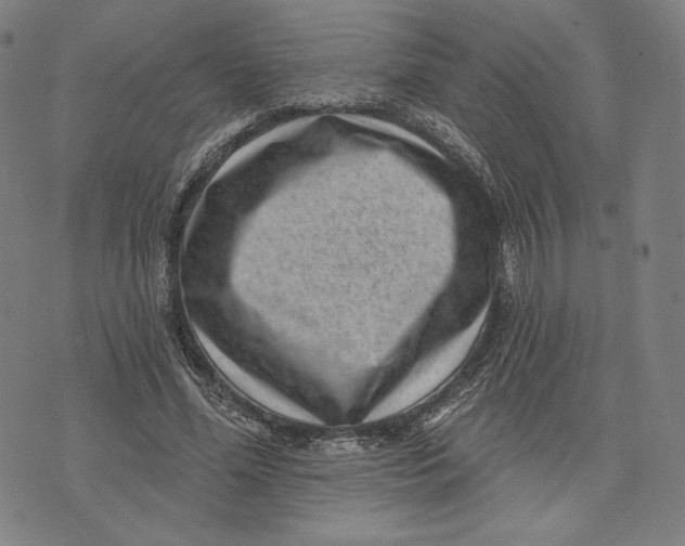 X0000071800588200607211649