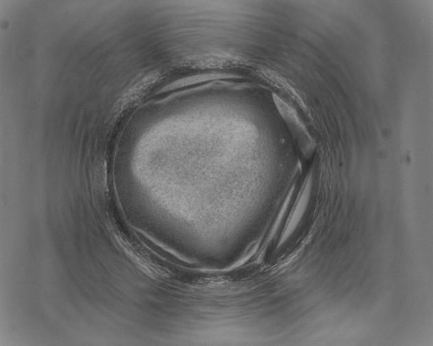 X0000071800589200607211649