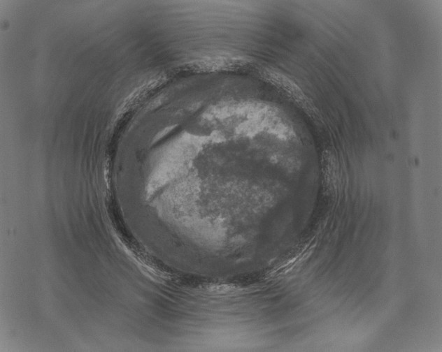 X0000071800590200607211649