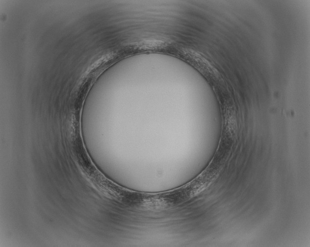 X0000071800591200607211649