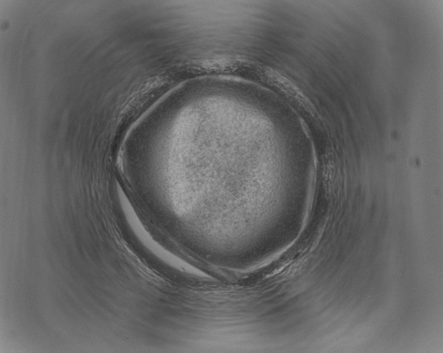 X0000071800593200607211649