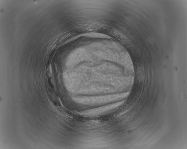 X0000071800594200607211649