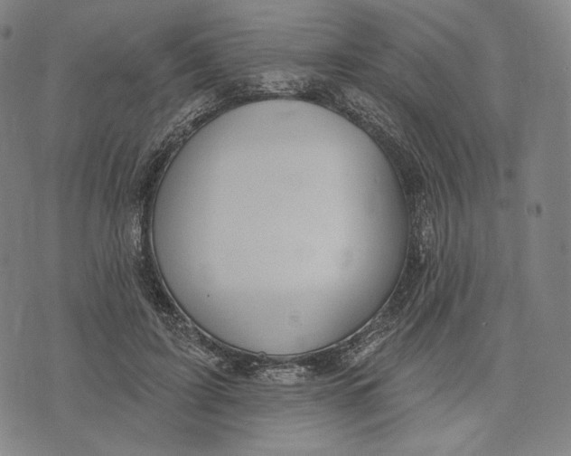 X0000071800595200607211649