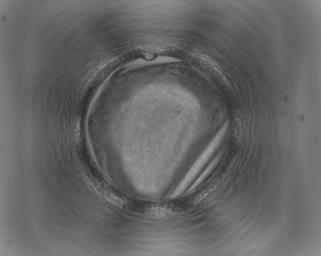 X0000071800596200607211649