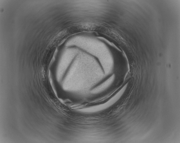 X0000071800597200607211649