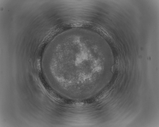 X0000071800598200607211649