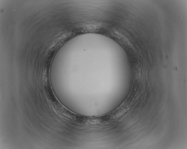 X0000071800599200607211649