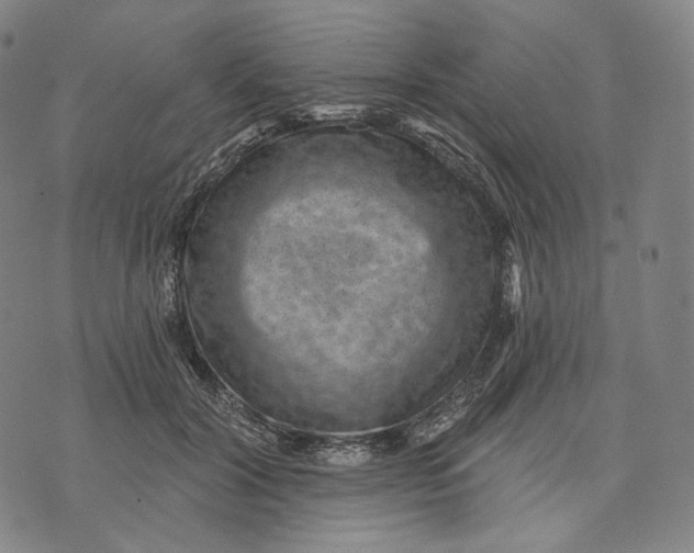 X0000071800604200607211649