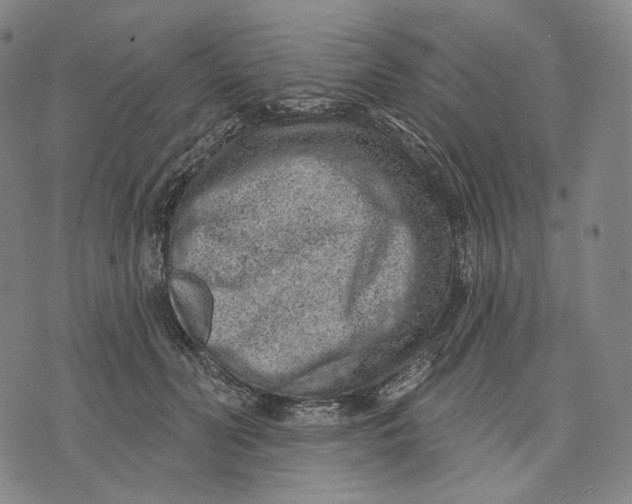 X0000071800606200607211649