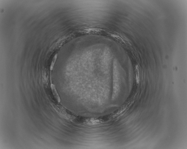 X0000071800607200607211649