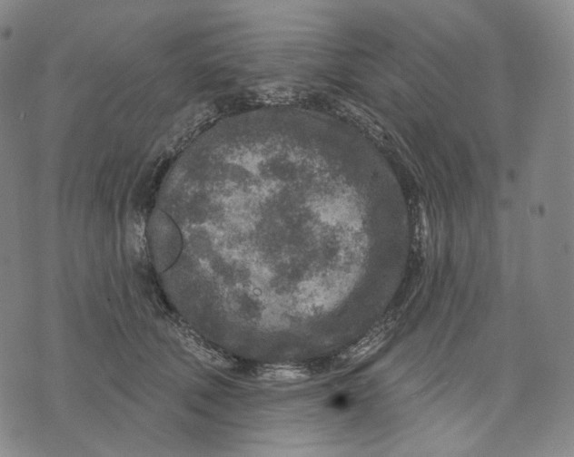 X0000071800610200607211648