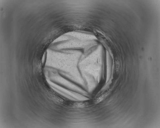 X0000071800613200607211648