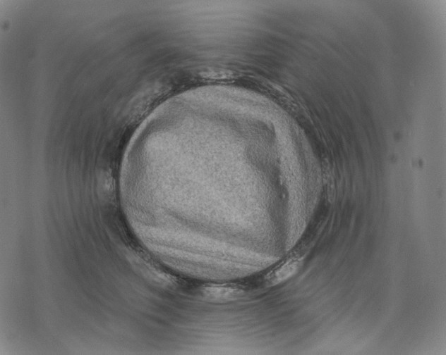 X0000071800614200607211648