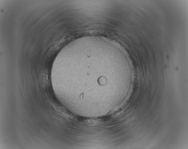 X0000071800615200607211648