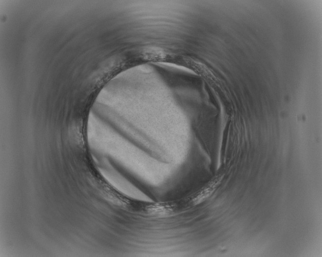 X0000071800616200607211648