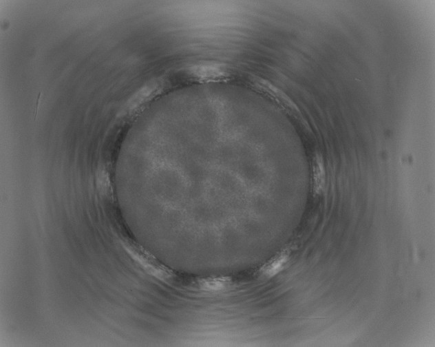 X0000071800618200607211648