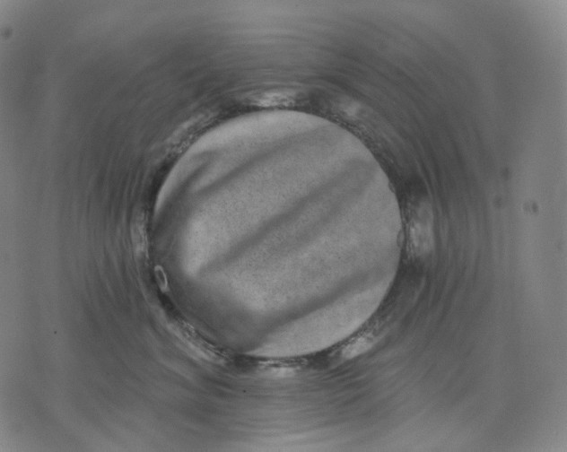 X0000071800620200607211648