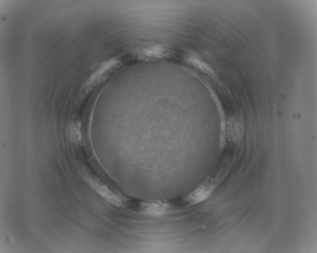 X0000071800621200607211648